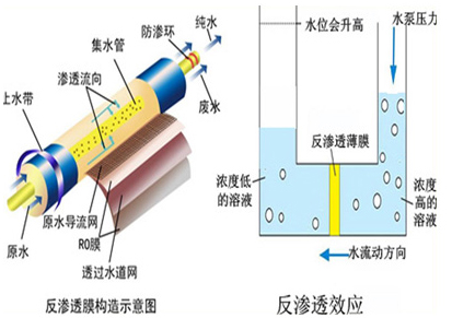 反渗透膜元件解剖图