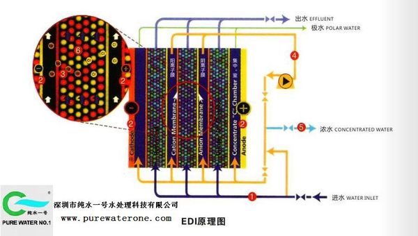 EDI超纯水设备的工作原理2